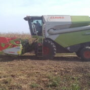 CLAAS Tucano 320  u radu