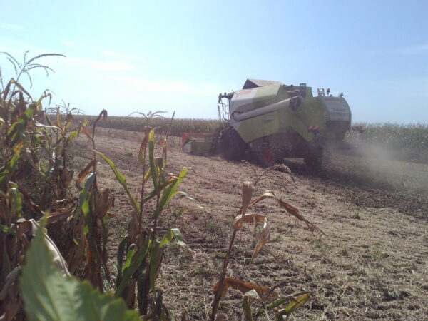 CLAAS Tucano 320 u zetvi soje 2015-09-16 12.22.25