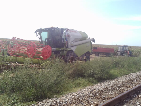 CLAAS Tucano 320 u zetvi soje 2015-09-16 12.34.25